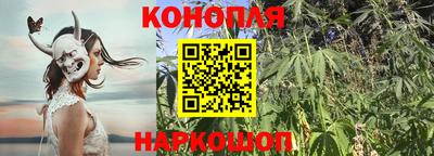 каннабис Донской