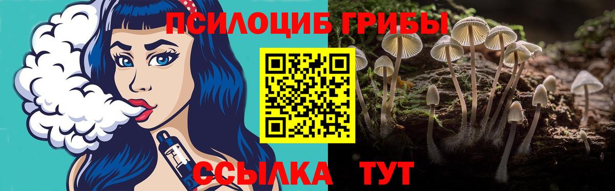 Назрань  Галлюциногенные грибы Cubensis  Вход с VPN 