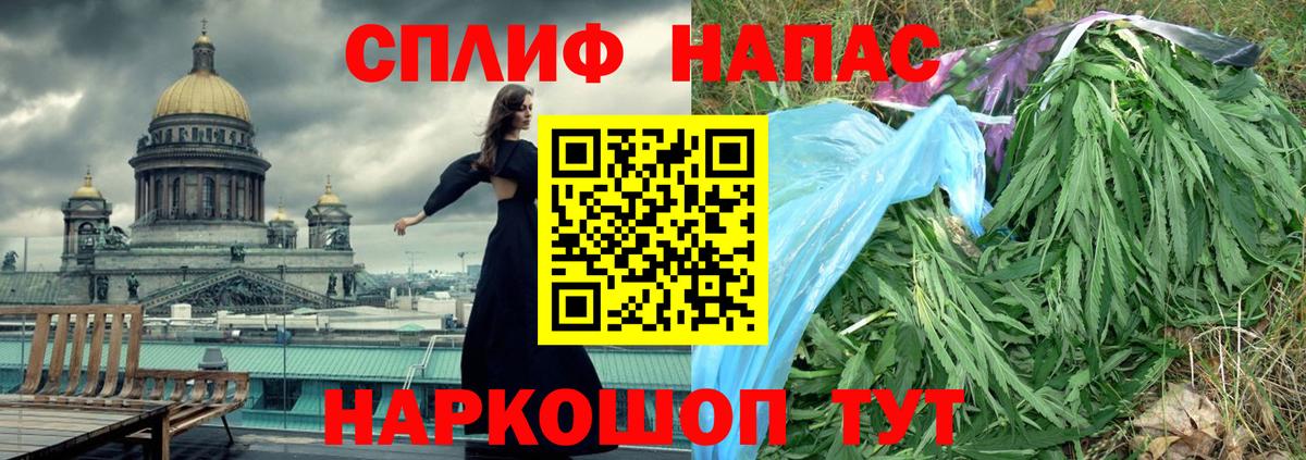 Конопля марихуана Назрань